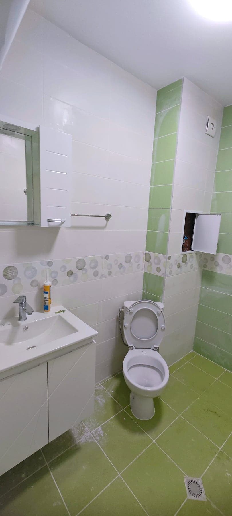 Green bathroom with a decorative border — Washbasin, toilet and mirror cabinet